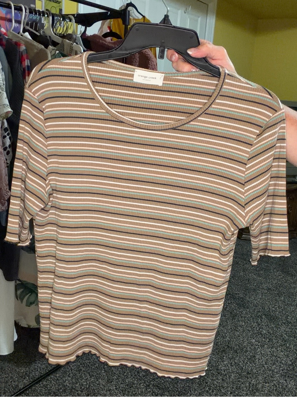 Orange Creek Striped Ribbed Short-Sleeve Top in Brown and Cream